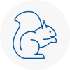 Abergavenny Rodent Removals